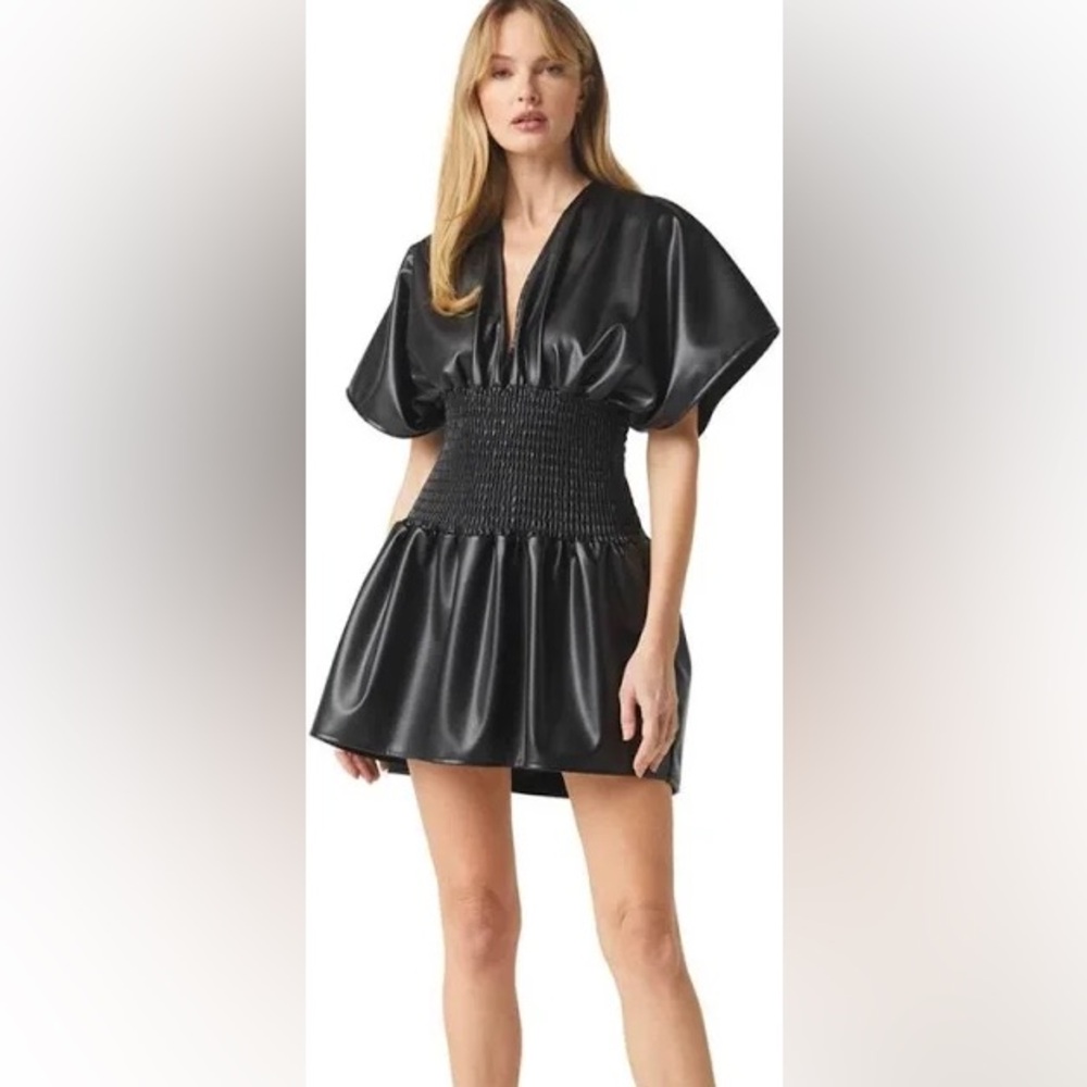 Brand New Misa Dress